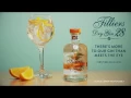 Lagu Filliers Gin Tonic - Perfect Serve (Tangerine)