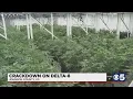 Johnson County DA orders businesses to stop selling Delta-8