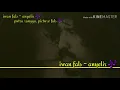 Download Lagu iwan fals - anyelir 🎶