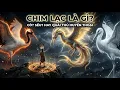 Lagu Giải mã Chim Lạc Là Sếu đầu đỏ, Cò hay chim thần thoại?