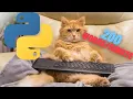 Python bot DESTROYS typeracer 200 words per minute