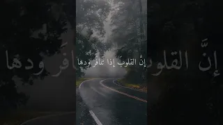 أجمل ما قيل عن كسر القلب حالات واتساب انستا  أجمل ما قيل عن كسر القلب حالات واتساب انستا