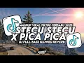 Download Lagu DJ STECU STECU X PICA PICA SLOW VIRAL TIKTOK FULL SONG MAMAN FVNDY SLOWED REVERB 2025 !!