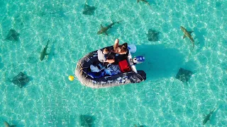 Unfortunately, We Have to Leave Paradise