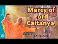 Lagu Mercy of Lord Caitanya - Zoom, 12 feb 2021