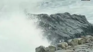 احمد مكى    قطر الحياه   دندنها