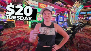 I Put 20 in 10 Slot Machines at Casino Royale Las Vegas