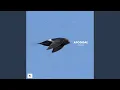 Download Lagu Apodidae