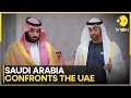 Lagu Riyadh Draws Red Lines Over Emirati Actions in Yemen \u0026 Sudan | WION NEWS