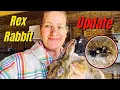 Update My Rex Rabbit Project