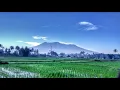 Download Lagu Musik Relaksasi : Seruling Bansi, Suara Hujan Alami, Relaksasi Tidur,  Penenang Pikiran, Stress