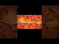 Download Lagu @yuyulchannel7683 Bob Tutupoly Kerinduan#shorts