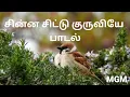 Download Lagu சின்ன சிட்டு குருவியே பாடல் // Chinna chittu kuruye song// Tamil christian songs//