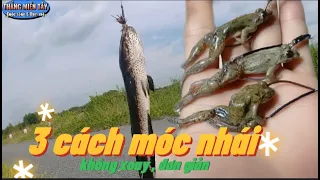 Download Ba cách móc nhái không xoay, đơn giản, trong bộ môn câu cá lóc/Thắng Miền Tây, Giao Lưu Cần Thủ MP3