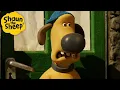 Big Sheep!😲 | Shaun the Sheep | Shaun the Sheep \u0026 Friends