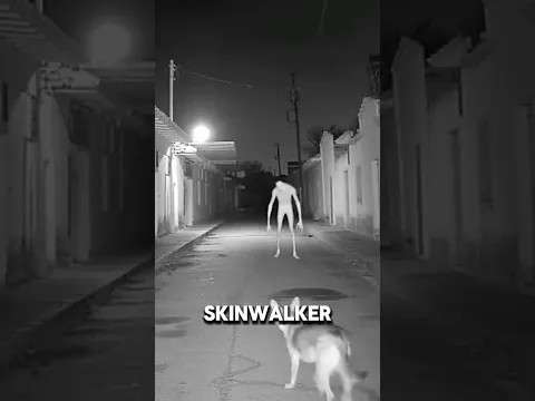 Why did the dog suddenly attack?