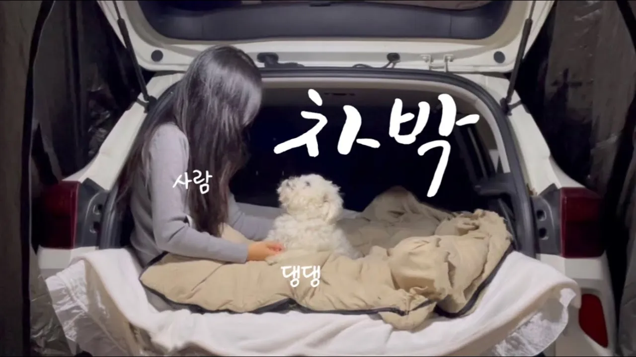 [솔로캠핑] 💊강이랑 10년은 더 놀러다닐거야...| 셀토스차박 | 애견동반캠핑 | 아이두젠 A10 MAX | 구시포 노을캠핑장 サムネイル