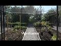 Superior Steel Walk-In Fruit Cage Protect Fruit Vegetables from Birds