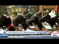 Gun buying in South Carolina