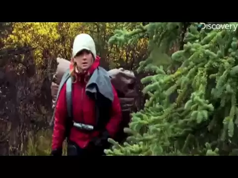 Out of the Wild: The Alaska Experiment