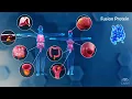 What is Gene Fusion