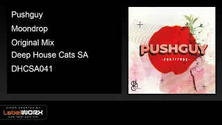 pushguy moondrop original mix 