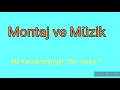 Nil Karaibrahimgil - Bu mudur ? (sözler)