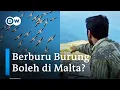 Download Lagu Tradisi Berburu Burung di Malta