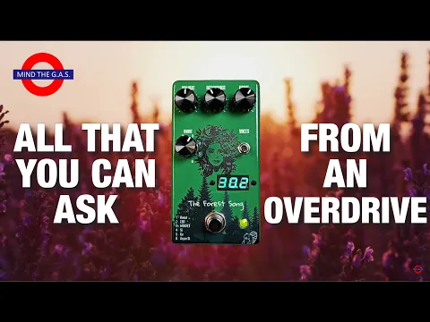 Drunk Beaver The Forest Song overdrive pedal demo video by Mind the G.A.S. - YouTube thumbnail