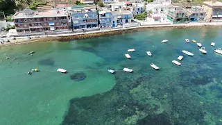                                                  دندنها