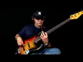 Bireli Lagrene - Cherokee (Fretless Bass Jazz Solo)