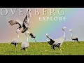 The Best of South Africa s most beautiful Overberg region western cape Unbelievable Biodiversity