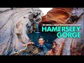 Download Lagu Spa semulajadi di tengah Gurun Karijini - Hamersley Gorge | EP6 Ningaloo