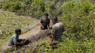 Misi Pembongkaran Rumput Ganja Yang Menjadi Rumah Bagi Jutaan Makhluk Hidup