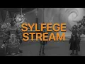 Guardian druid leveling Chill stream