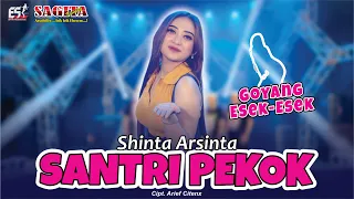 Shinta Arsinta - Santri Pekok | Goyang Esek Esek | Dangdut (Official Music Video)