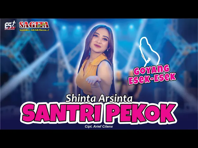 Download MP3 Shinta Arsinta - Santri Pekok | Goyang Esek Esek | Dangdut (Official Music Video)
