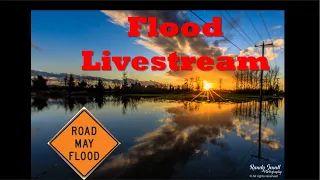 Whatcom County Weather - checking roads and the river