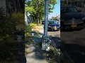 East Tremont Ave from E 180th St To Taylor Ave