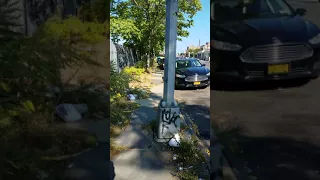 East Tremont Ave from E 180th St To Taylor Ave