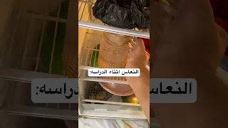 النعاس اثناء الدراسه طلاب سادسيون مرشحات الثالثة متوسط امتحانات انكليزي ترند تيك توك 