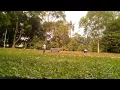 Download Lagu Sore di Kebun Raya