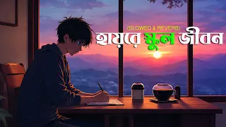 Hayre School Jibon | Lofi Remix | হায়রে স্কুল জীবন | Atif Ahmed Niloy | Bangla New Lofi Song 2026