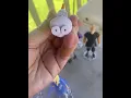 WATCH THIS Before You Buy Frozen Cake Topper Figures on Amazon