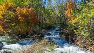 موسيقي ليلة الخميس و ليلة الدخلة موسيقى رومانسيه للمتزوجين 