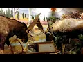 Cabela s Hartford CT Connecticut trip