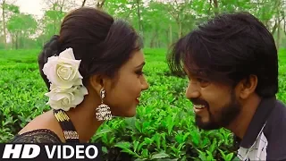 nasha lagela official video ripunjeet latest bagania song ldm