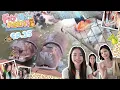 Download Lagu เมื่อเฟเมษ์ต้องหลับตาเลือกที่เที่ยว และลงเอยที่ฟาร์มจระเข้ | FAYMAYNEEN EP.15