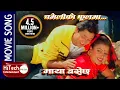 Chameliko Phoolma | Maya Basechha Nepali Movie Song | Rajesh Hamal | Rekha Thapa| Nawal Khadka Mp3 Song Download