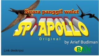 Download SP.APOLLO by Arief budiman_suara panggil walet super MP3